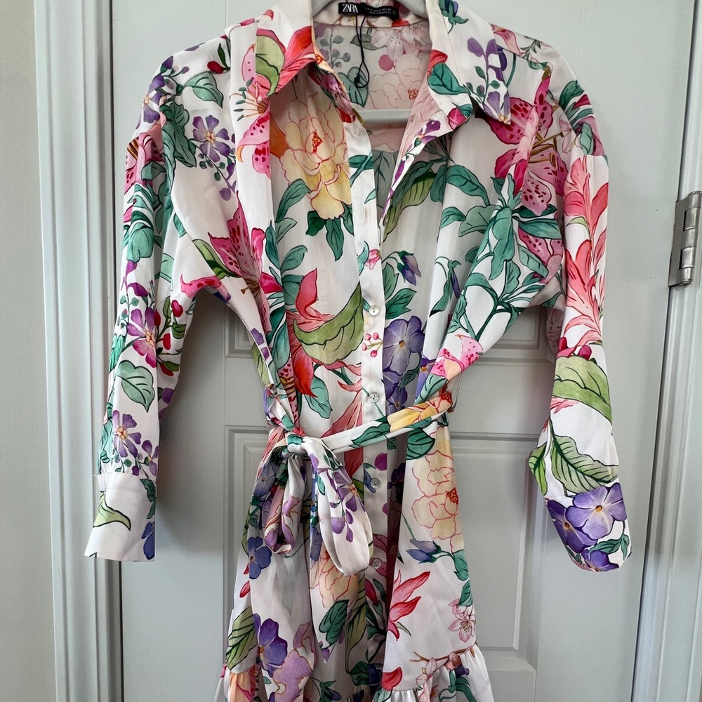 Zara button down dress!